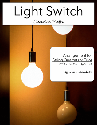Book cover for Light Switch
