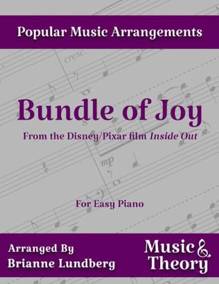 Book cover for Bundle Of Joy