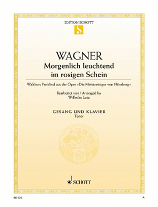 Book cover for Morgenlich leuchtend im rosigen Schein