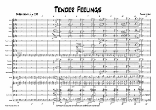 Book cover for Tender feelings - Bossa Nova/Samba - Big Band