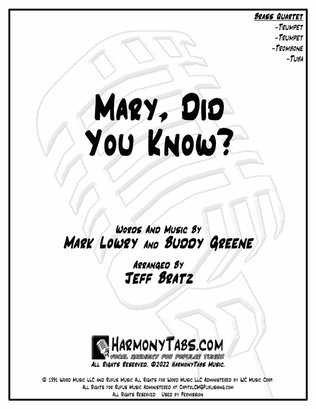 Book cover for Mary, Did You Know?