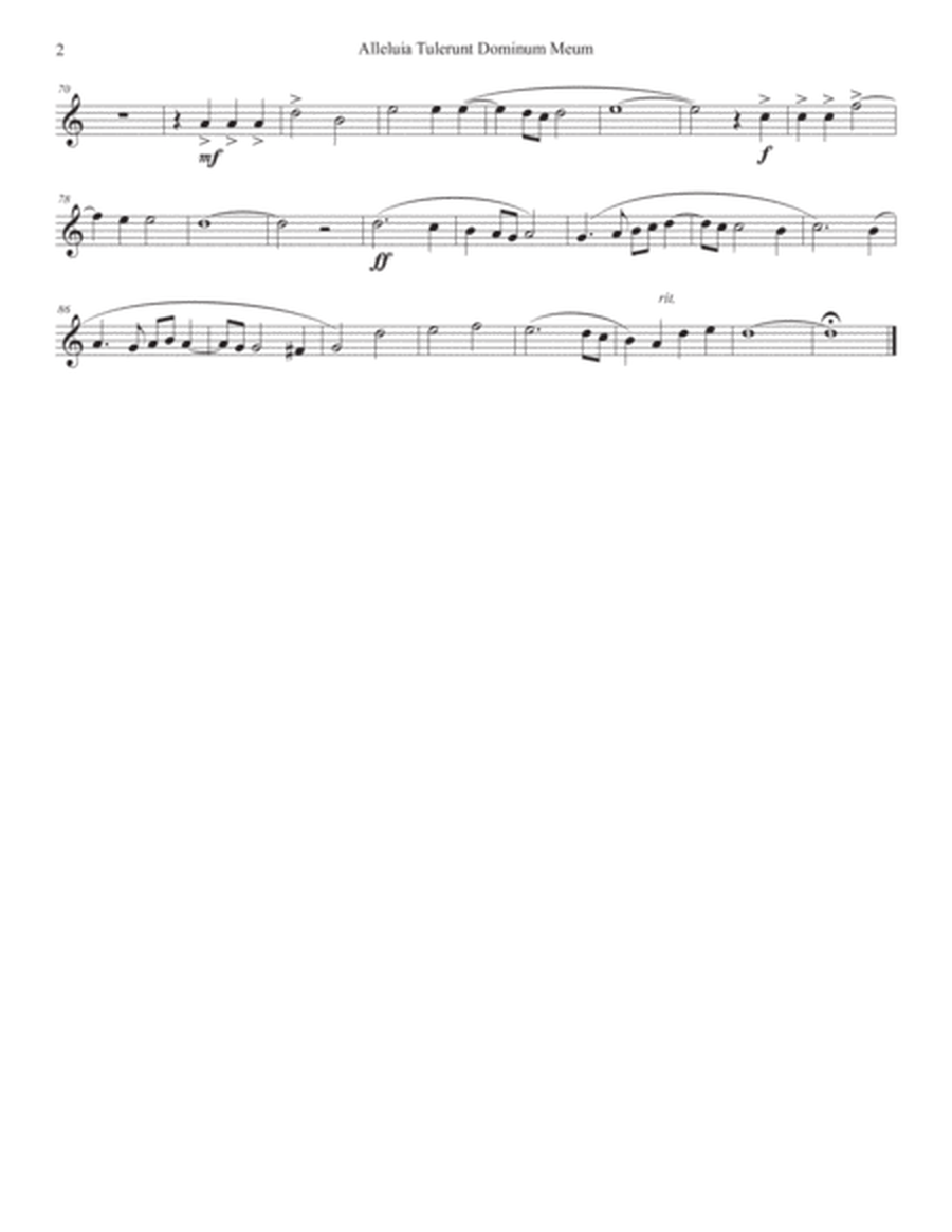 Alleluia Tulerunt Dominum Meum - Palestrina - for Brass Sextet or Brass choir image number null