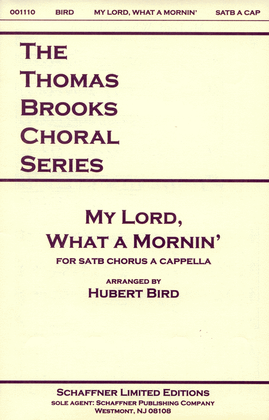 Book cover for My Lord, What A Mornin'