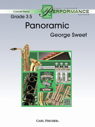 Book cover for Panoramic