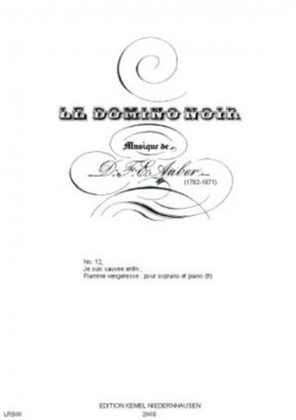 Book cover for Le domino noir
