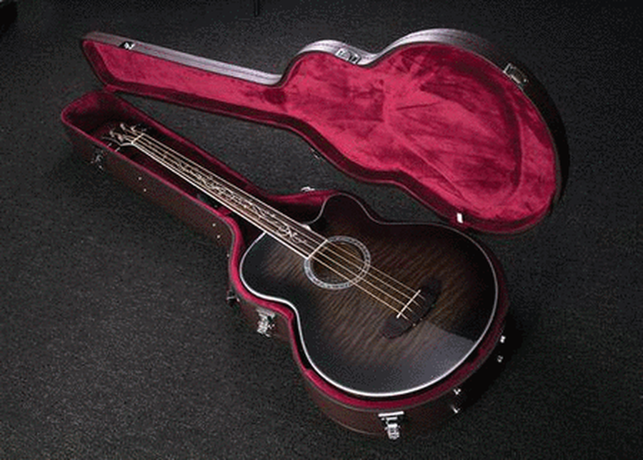 Acoustic Bass Guitar Hard Case