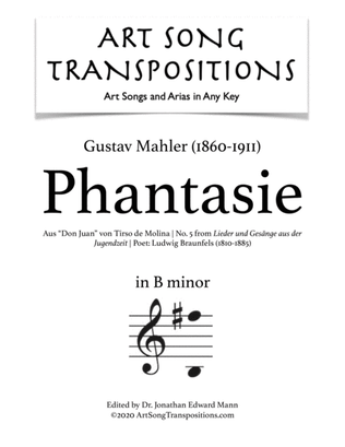 Book cover for MAHLER: Phantasie (transposed to B minor)
