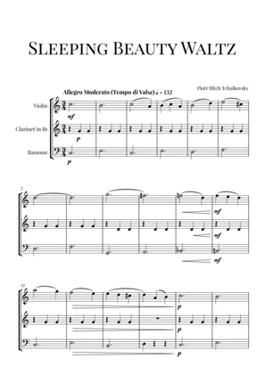 Tchaikovsky: Sleeping Beauty Waltz for Violin, Clarinet and Bassoon (Trio)