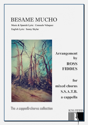 Book cover for Bésame Mucho (Kiss Me Much)