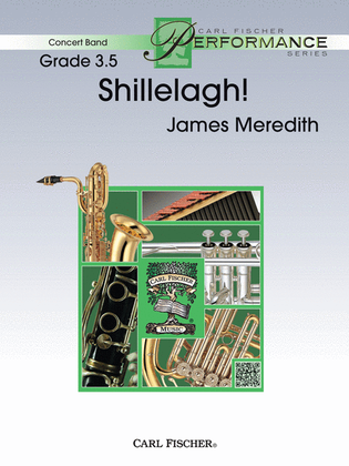 Book cover for Shillelagh!
