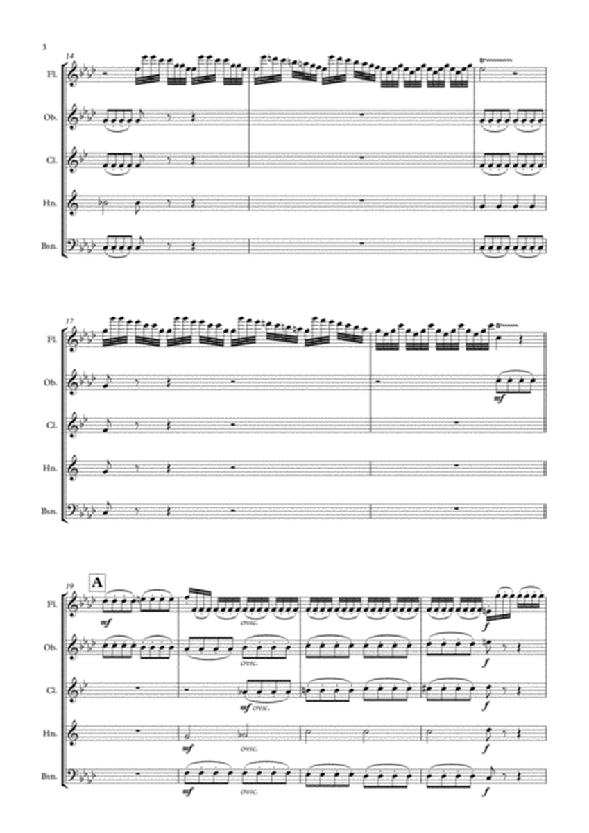 "Winter" from The Four Seasons arranged for Wind Quintet image number null