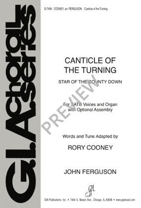 Book cover for Canticle of the Turning