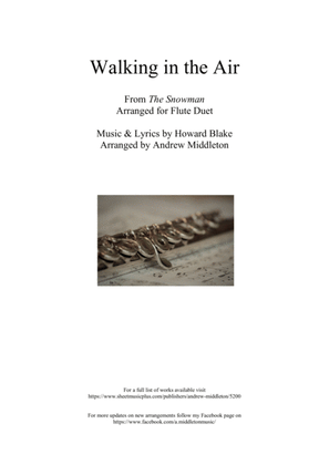 Book cover for Walking In The Air