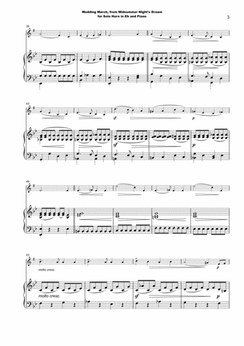 Wedding March by Mendelssohn, for Solo Horn in Eb (Tenor Horn) and Piano image number null
