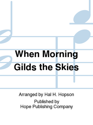 Book cover for When Morning Gilds the Skies