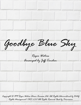 Book cover for Goodbye Blue Sky