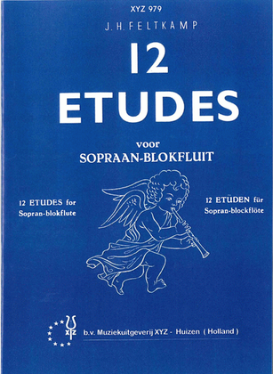 Book cover for Feltkamp: 12 Etudes