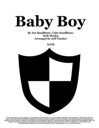 Book cover for Baby Boy