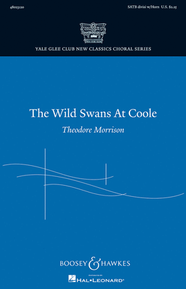 Book cover for The Wild Swans at Coole