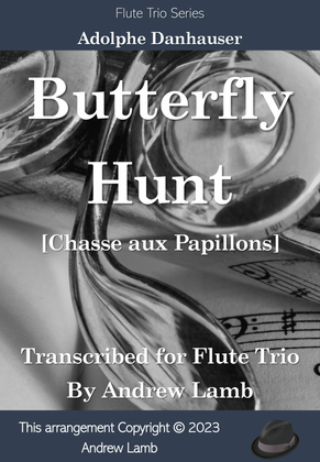 Book cover for Butterfly Hunt (for Flute Trio)