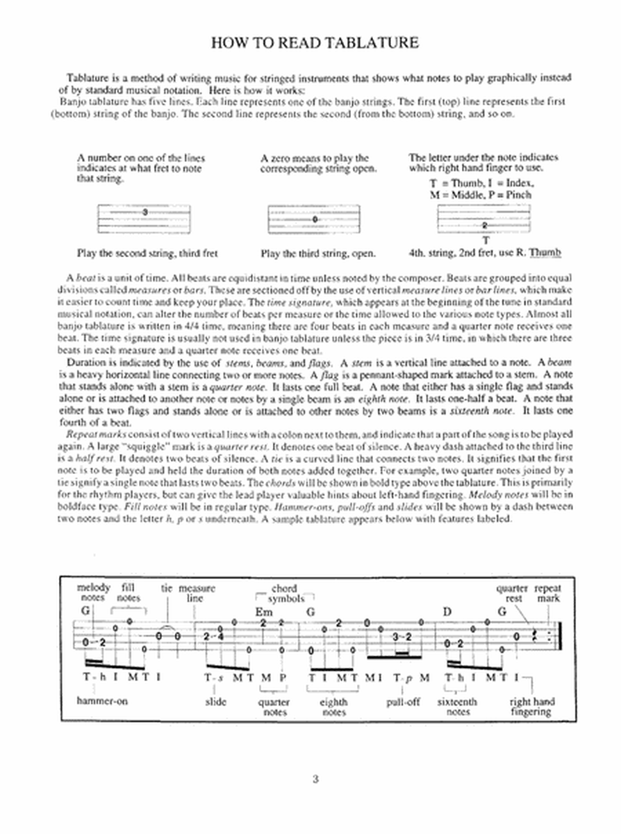 You Can Teach Yourself Banjo By Ear image number null