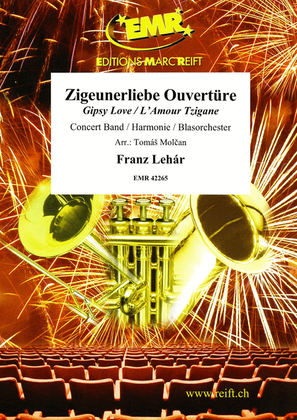 Book cover for Zigeunerliebe Ouverture