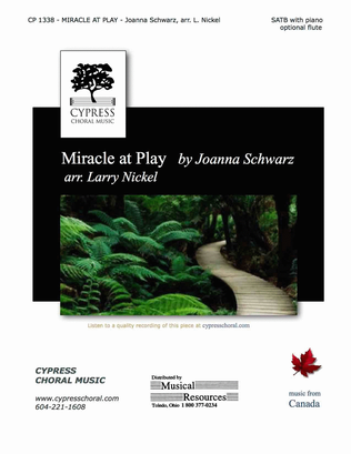 Book cover for Miracle at Play