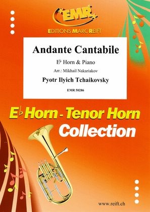 Book cover for Andante Cantabile