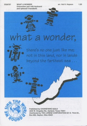Book cover for What a Wonder