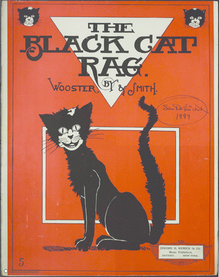 Book cover for Black Cat Rag