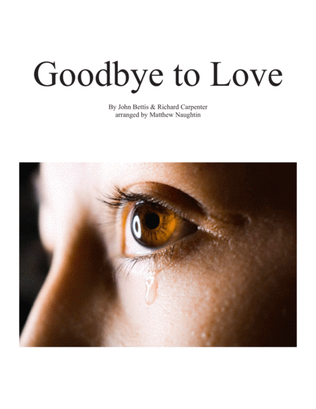 Goodbye To Love