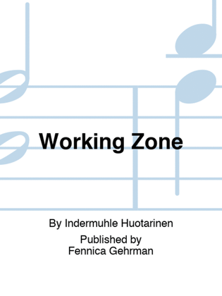 Book cover for Working Zone