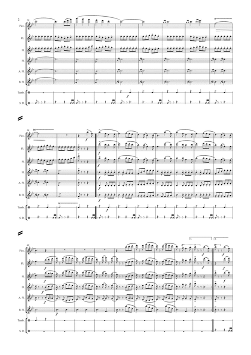 Slovenian Sonata for Flute Choir