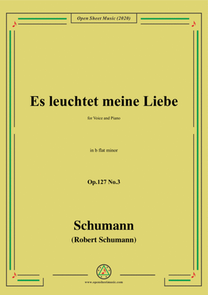Book cover for Schumann-Es leuchtet meine Liebe Op.127 No.3,in b flat minor