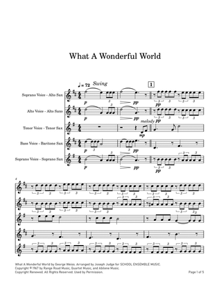 Book cover for What A Wonderful World