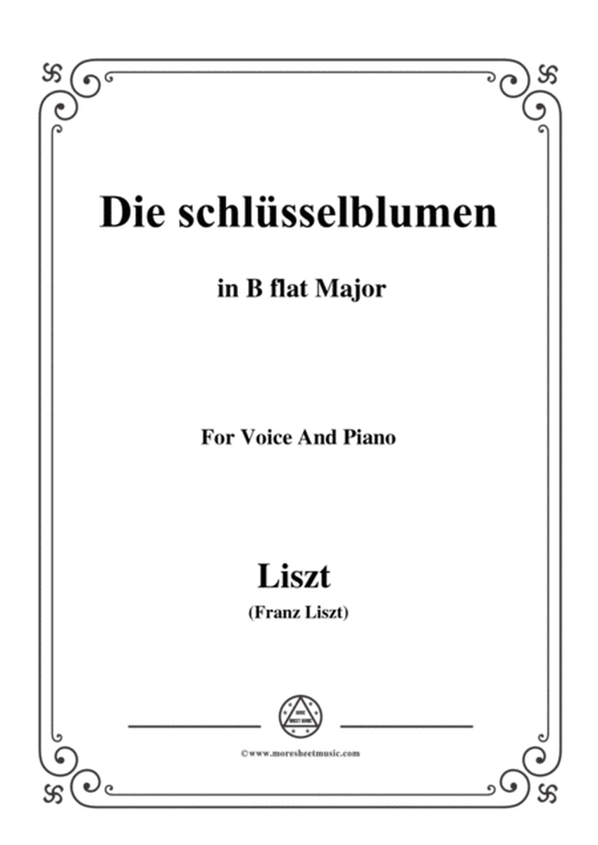 Liszt-Die schlüsselblumen in B flat Major,for Voice and Piano image number null