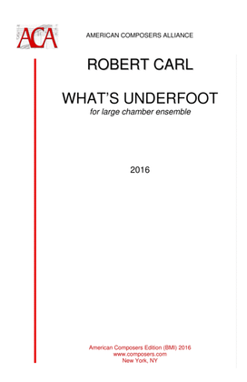 Book cover for [Carl] What's Underfoot