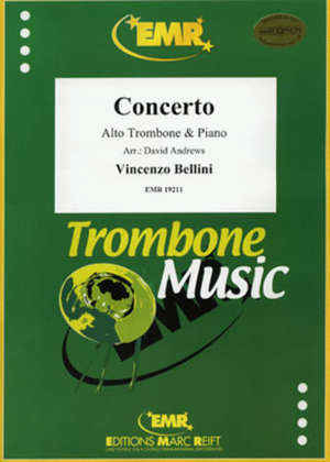 Book cover for Concerto