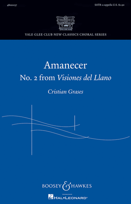 Book cover for Amanecer