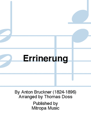 Book cover for Errinerung