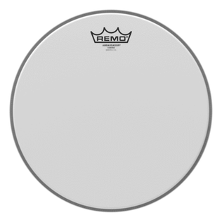 Ambassador Series Coated Drumhead