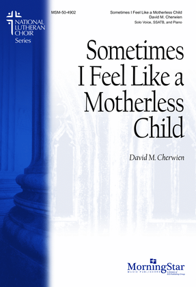 Book cover for Sometimes I Feel Like a Motherless Child