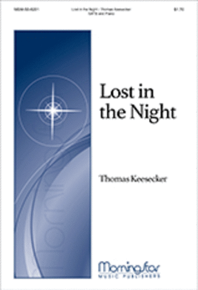 Book cover for Lost in the Night