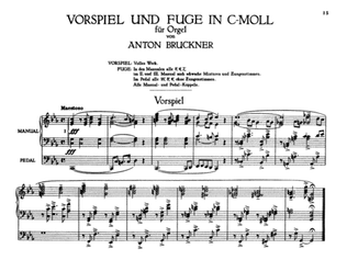 Book cover for Bruckner: Album of Various Pieces (Including Preludes, Postludes, Transcriptions)
