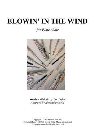 Book cover for Blowin' In The Wind