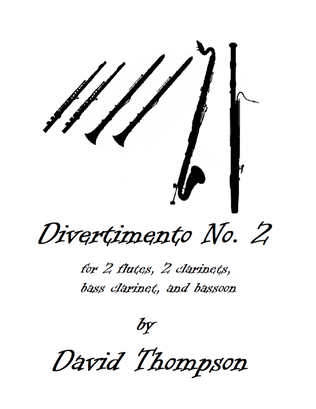 Book cover for Divertimento No. 2