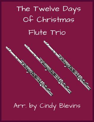 Book cover for The Twelve Days of Christmas, Flute Trio