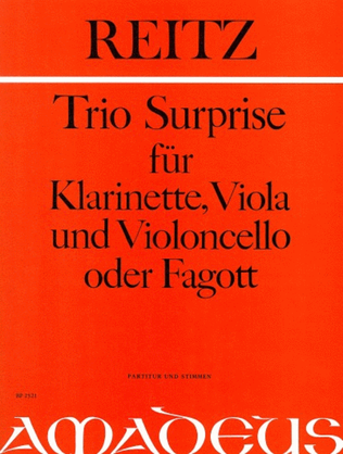 Book cover for Trio Surprise