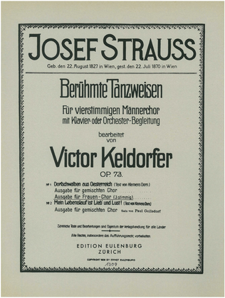 Book cover for Dorfschwalben aus Österreich (Village Swallows from Austria)