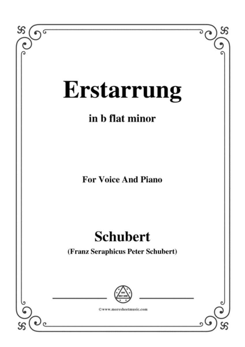 Schubert-Erstarrung,from 'Winterreise',Op.89(D.911) No.4,in b flat minor,for Voice&Piano image number null